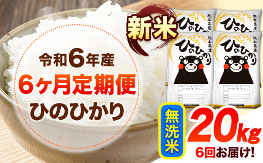 令和6年産 新米 【6ヶ月定期便】 無洗米 ひのひかり 20kg 《お申し込み月の翌月から出荷開始》 熊本県産 無洗米 精米 ひの 送料無料 熊本県 山江村 SDGs 米 コメ こめ 国産