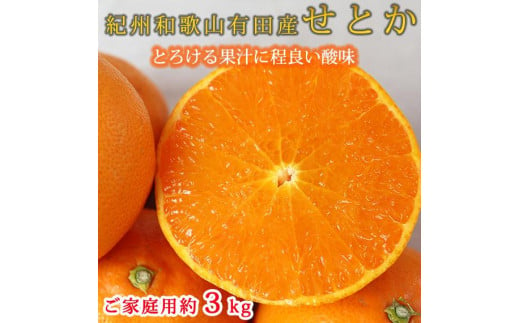 紀州有田産せとか 約3kg 【ご家庭用】とろける食感！ジューシー柑橘【2025年2月下旬以降発送】【先行予約】【UT133】 1597558 - 和歌山県和歌山市