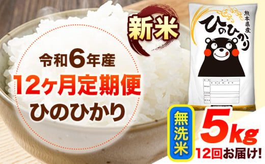 令和6年産 新米 【12ヶ月定期便】 無洗米 ひのひかり 5kg 《お申し込み月の翌月から出荷開始》 熊本県産 無洗米 精米 ひの 送料無料 熊本県 山江村 SDGs 米 コメ こめ 国産