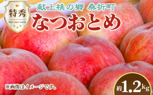 No.226 もも（なつおとめ）特秀　1.2kg　桑折町産　JAふくしま未来　桃 ／ モモ 果物 フルーツ 福島県 特産品