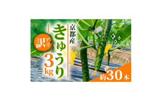 ＜訳アリ＞きゅうり 3kg 京都府 野菜【1568062】 1602505 - 京都府久御山町