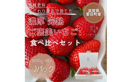 滋賀県愛荘町産　いちご食べ比べセット 品種おまかせ BJ01