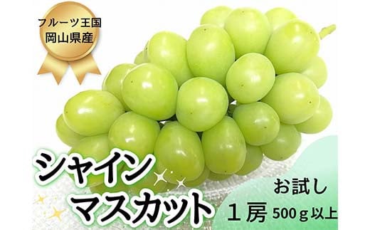 【2025年先行受付】お試しフルーツ王国岡山 シャインマスカット 500g以上！ 朝採れぶどう1房  果物 フルーツ ぶどう シャインマスカット TY0-0938