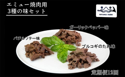 【12か月定期便】エミュー焼肉用3種の味セット【エミュー 基山産 高タンパク 高鉄分 低カロリー ヘルシー ジビエ 貴重肉 鉄分補給】JE1-C006304