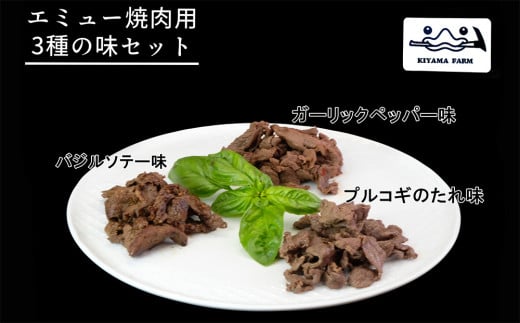 エミュー焼肉用3種の味セット【エミュー 基山産 高タンパク 高鉄分 低カロリー ヘルシー ジビエ 貴重肉 鉄分補給】A3-C006012