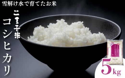 令和6年産 コシヒカリ 5kg 数量限定 特別栽培米 二王子米 新潟産 新潟米 新発田産 新発田 お米 米 kome 白米 ご飯 こめ ごはん ライス ふるさと納税米 コシヒカリ お弁当 食品 せいだ とんとん市場 ブランド米 人気米 玄米 新潟県 新発田市 seida002