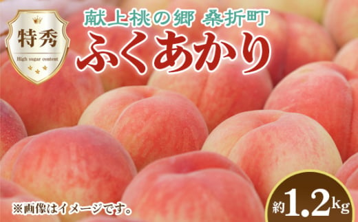 No.223 もも（ふくあかり）特秀　1.2kg　桑折町産　JAふくしま未来　桃 ／ モモ 果物 フルーツ 福島県 特産品