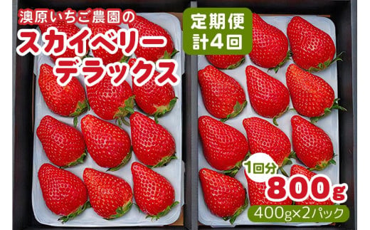 [定期便／4回] 澳原いちご農園のスカイベリーデラックス定期便 (毎月お届け 計4回)｜いちご イチゴ 苺 スカイベリー フルーツ 果物 産地直送 栃木県産 期間限定 数量限定 先行予約 [0602]