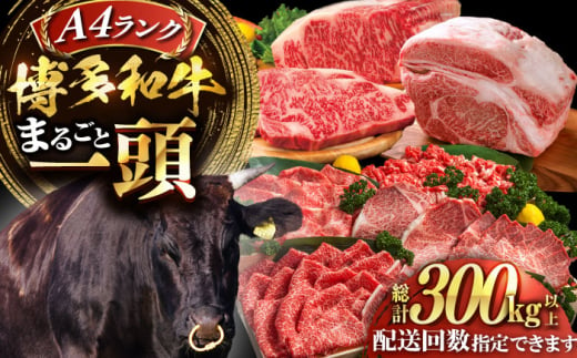 【一頭丸ごとオーダー!】 博多和牛 一頭食べ尽くしセット《豊前市》【株式会社MEAT PLUS】 [VBB082]