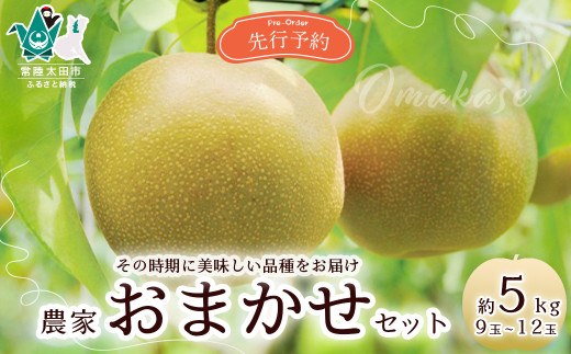 【先行予約 2025年】梨 桧山果樹園 おまかせ 約5kg その時期においしい品種3種類 | 茨城県 常陸太田市 桧山果樹園 恵水 オリジナル 大きい みずみずしい 品種 梨 フルーツ 高級 産地直送 限定品 贈り物 新鮮 お取り寄せ デザート ギフト 風味豊か 大玉 香り 上品 希少価値 珍しい 地域 甘い 限定 果物 果樹