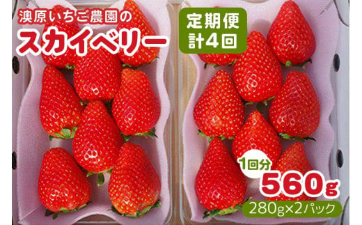 [定期便／4回] 澳原いちご農園のスカイベリー定期便 (毎月お届け 計4回)｜いちご イチゴ 苺 スカイベリー フルーツ 果物 産地直送 栃木県産 期間限定 数量限定 先行予約 [0601]