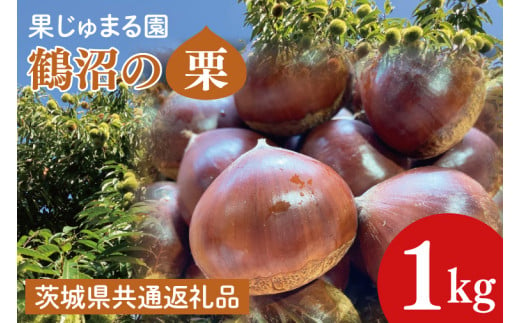 【茨城県共通返礼品】【先行予約】石岡市産鶴沼の生栗1kg（2025年9月中旬以降発送）【くり 栗 旬 くだもの 果物 無農薬 ほくほく茨城県 10000円以内 1万円以内】(46-02 )