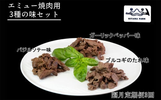 【隔月3回】エミュー焼肉用3種の味セット【エミュー 基山産 高タンパク 高鉄分 低カロリー ヘルシー ジビエ 貴重肉 鉄分補給】C8-C006306