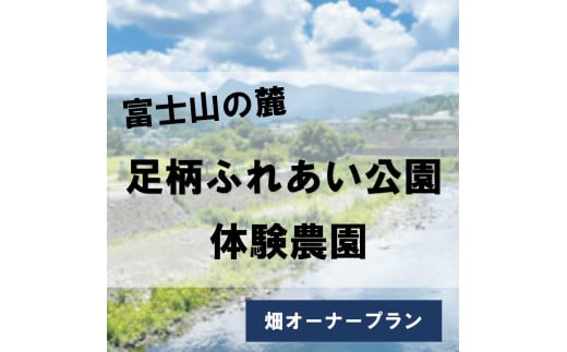 3AD2足柄ふれあい公園　体験農園　畑オーナープラン（12か月）	