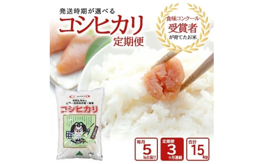 [3回定期便]令和6年産[精米]コシヒカリ 5kg×3回(計15kg) JS