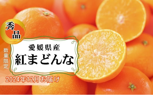 愛媛県産 紅まどんな「秀品」JA正規品 約2.7kg 数量限定30箱 12月～順次発送【いしづち山麓マルシェ 柑橘 甘い 高級 極上 直送 正規みかん 愛果28号】 [№5310-0263]