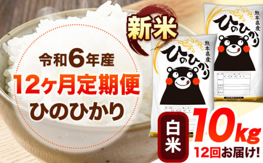 令和6年産 新米 【12ヶ月定期便】 白米 ひのひかり 10kg 《お申し込み月の翌月から出荷開始》 熊本県産 白米 精米 ひの 送料無料 熊本県 山江村 SDGs 米 コメ こめ 国産 1607355 - 熊本県山江村