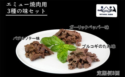 【3か月定期便】エミュー焼肉用3種の味セット【エミュー 基山産 高タンパク 高鉄分 低カロリー ヘルシー ジビエ 貴重肉 鉄分補給】C8-C006301