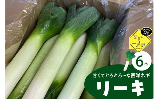 北海道十勝芽室町　なまら十勝野の鳥本農場リーキ 6本 me001-046c 1595748 - 北海道芽室町