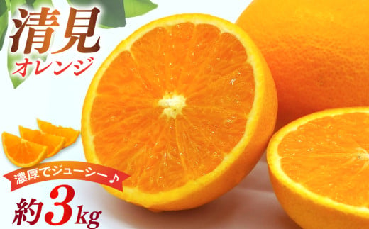 清見 オレンジ 約3kg 【2025年3月下旬-4月上旬発送予定】 柑橘 みかん ミカン 蜜柑 果物 フルーツ きよみ デザート