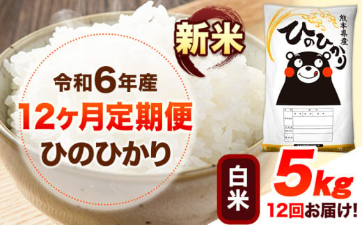 令和6年産 新米 【12ヶ月定期便】 白米 ひのひかり 5kg 《お申し込み月の翌月から出荷開始》 熊本県産 白米 精米 ひの 送料無料 熊本県 山江村 SDGs 米 コメ こめ 国産 1607354 - 熊本県山江村