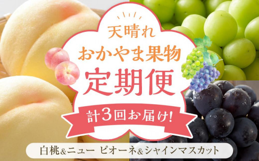 フルーツ 定期便 2025年 先行予約 天晴れ おかやま 果物 定期便 (4)  白桃 1回 ニュー ピオーネ 1回／ シャイン マスカット 1回 合計3回お届け！ 岡山県産 国産 セット ギフト