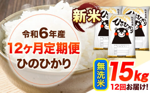 令和6年産 新米 【12ヶ月定期便】 無洗米 ひのひかり 15kg 《お申し込み月の翌月から出荷開始》 熊本県産 無洗米 精米 ひの 送料無料 熊本県 山江村 SDGs 米 コメ こめ 国産