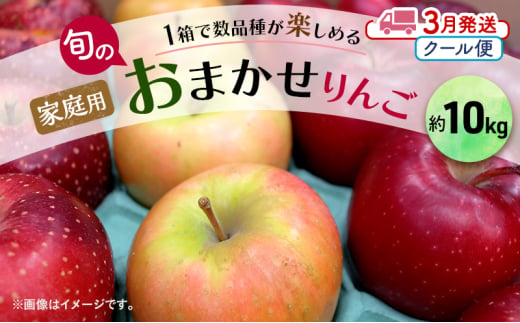 りんご 【 3月クール便発送 】 家庭用 旬のりんご 品種おまかせ 約 10kg 2種類～4種類【 弘前市産 青森りんご 】