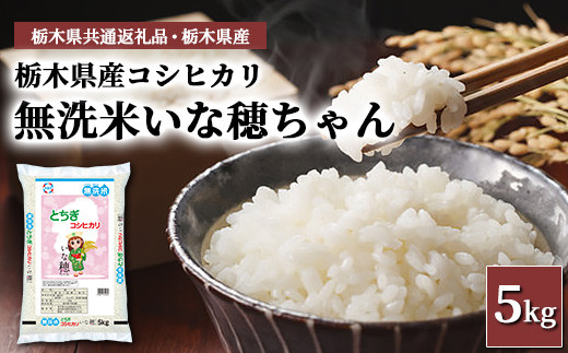 【無洗米】栃木県産コシヒカリ いな穂ちゃん 5kg【栃木県共通返礼品・栃木県産】