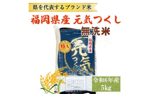 令和6年産 福岡県産 ブランド米「元気つくし」無洗米 5kg [a8256] 株式会社 ゼロプラス 【返礼品】添田町 ふるさと納税