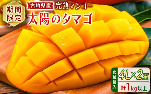 完熟マンゴー＜太陽のタマゴ＞4L×2玉（計1kg以上）化粧箱入 宮崎県産 フルーツ くだもの 国産【E169-25】