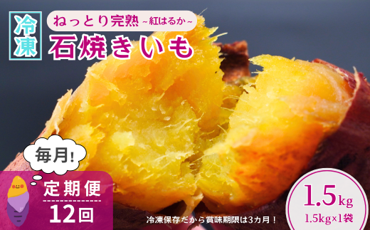 ＜12ヵ月定期便＞【訳あり】ねっとり甘い 紅はるかの冷凍石焼き芋1.5kg 全12回 | 茨城県 龍ケ崎市冷凍焼き芋 やきいも 焼き芋 焼いも スイーツ ダイエット 小分け ギフト プレゼント 国産 無添加 茨城県産 さつまいも サツマイモ お芋 いも おやつ 干し芋 石焼き芋 紅はるか シルクスイート 紅はるか ねっとり 甘い 完熟 熟成 冷凍 冷やし焼き芋 訳あり