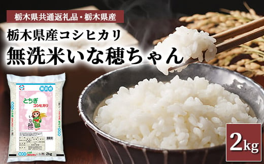 【無洗米】栃木県産コシヒカリ いな穂ちゃん 2kg【栃木県共通返礼品・栃木県産】