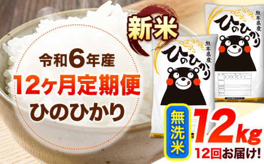 令和6年産 新米 【12ヶ月定期便】 無洗米 ひのひかり 12kg 《お申し込み月の翌月から出荷開始》 熊本県産 無洗米 精米 ひの 送料無料 熊本県 山江村 SDGs 米 コメ こめ 国産