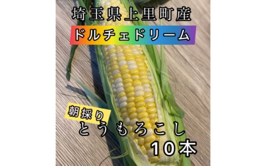 ＜先行受付2025年夏発送＞上里町産とうもろこし　ドルチェドリーム2L×10本　計5kg(梱包込み)【1564849】