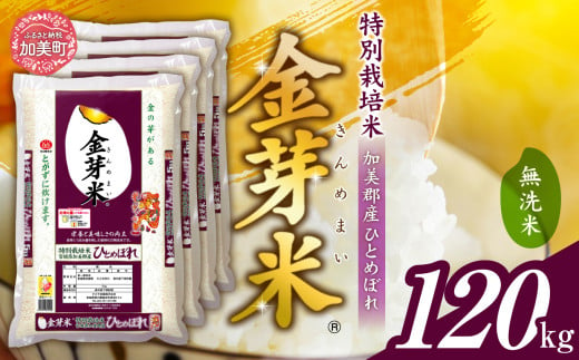 米 無洗米 金芽米 令和6年 宮城県 加美産 ひとめぼれ 特別栽培米 120kg （ 5kg × 24袋 ） [ 宮城県 加美町 ] お米 新米 精米 白米 玄米 きんめまい ヘルシー 甘い おすすめ 人気 ナカリ タカラ米穀 パワーライス カメイ 新生活応援 美味しい コスパ おいしい 健康 こだわり km00011-r6-120kg