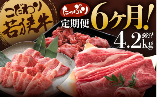 定期便 こだわり若狭牛 全6回 （すき焼き用 / 切り落とし / 焼肉用） 合計4.2kg 【肉 6ヶ月 牛肉 肉 お楽しみ 食べ比べ のし 熨斗 和牛 国産和牛 黒毛和牛 黒毛和種 ブランド牛 ギフト 贈答 BBQ 人気 おすすめ】 [K-2205] 205091 - 福井県坂井市