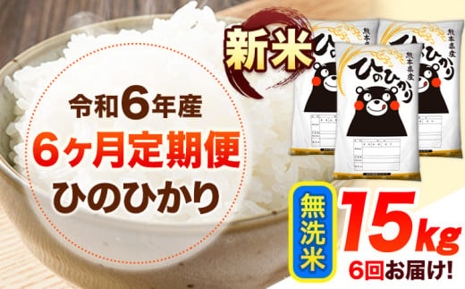 令和6年産 新米 【6ヶ月定期便】 無洗米 ひのひかり 15kg 《お申し込み月の翌月から出荷開始》 熊本県産 無洗米 精米 ひの 送料無料 熊本県 山江村 SDGs 米 コメ こめ 国産