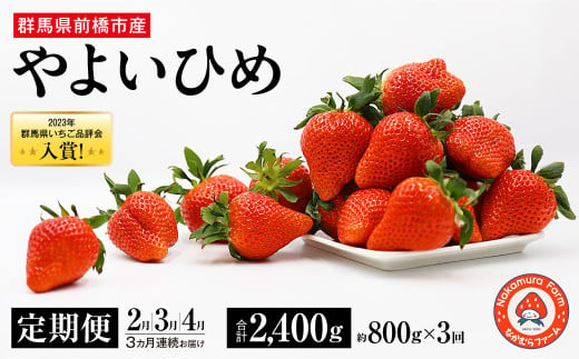 【3カ月定期便】やよいひめ 約800g×3回 総量2.4kg 【いちご品評会入賞！】｜ 朝採れ やみつき高品質 たっぷり 贈答用 新鮮 完熟 いちご 旬 苺 ストロベリー 高級 産地直送 果汁 甘い あまい 人気 高評価 高糖度 ごほうび プレゼント 群馬県 前橋市 R4-52 490864 - 群馬県前橋市