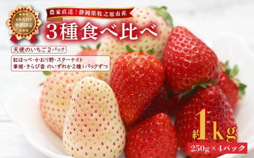 041-11 【2025年1月から順次発送】いちご 3種食べ比べ セット 1kg 250g × 4パック 産地直送 フルーツ 苺 果物 ストロベリー 天使の苺 スターナイト 紅ほっぺ 章姫 きらぴ香 かおり野 静岡県 牧之原市産 1698369 - 静岡県牧之原市