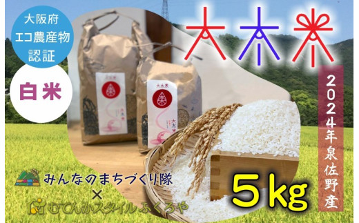 日本遺産の棚田景観で育てた大木米(白米)5kg