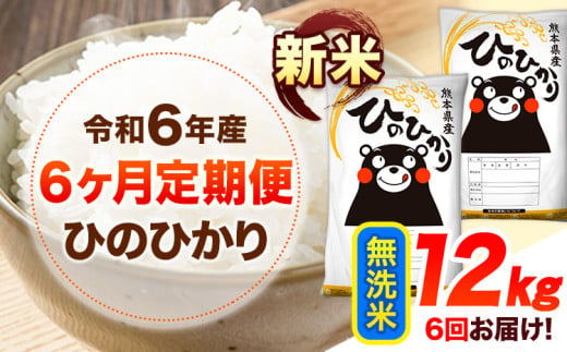 令和6年産 新米 【6ヶ月定期便】 無洗米 ひのひかり 12kg 《お申し込み月の翌月から出荷開始》 熊本県産 無洗米 精米 ひの 送料無料 熊本県 山江村 SDGs 米 コメ こめ 国産