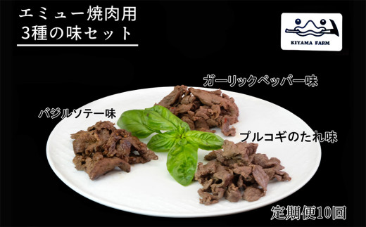 【10か月定期便】エミュー焼肉用3種の味セット【エミュー 基山産 高タンパク 高鉄分 低カロリー ヘルシー ジビエ 貴重肉 鉄分補給】JB5-C006303