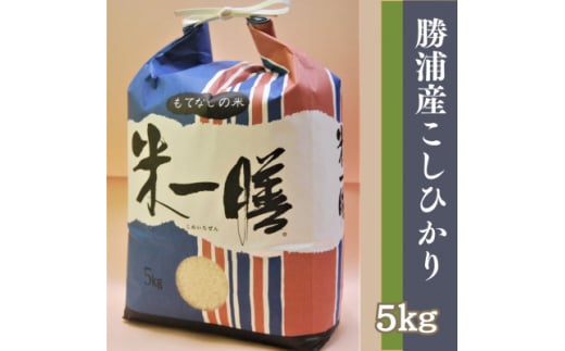 ＜令和6年産新米＞勝浦産コシヒカリ　精米(5kg)【1546106】