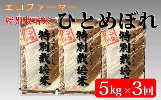 令和6年産[定期便3回]エコファーマーのひとめぼれ5kg×3回(計15kg)