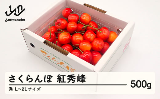 先行予約 さくらんぼ 紅秀峰 秀品 L-2L玉 500g バラ詰 2025年産 令和7年産 山形県産 mm-bsbax500