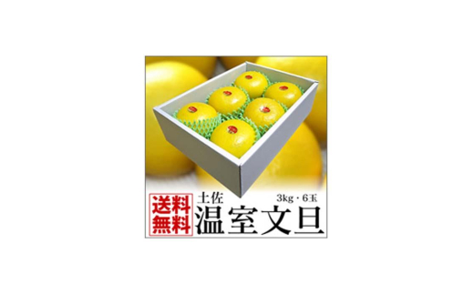 高知特産 温室(ハウス)土佐文旦 約3kg・6玉入[2024年11月下旬から発送][株式会社四国健商] [ATAF036] 柑橘 かんきつ 甘い 酸っぱい