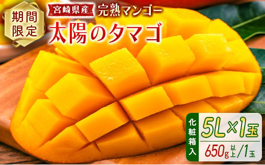 完熟マンゴー＜太陽のタマゴ＞5L×1玉(650g以上) 化粧箱入 宮崎県産 フルーツ くだもの 国産【D114-25】