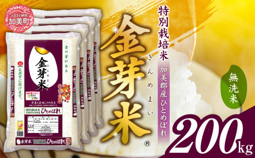 米 無洗米 金芽米 令和6年 宮城県 加美産 ひとめぼれ 特別栽培米 200kg （ 5kg × 40袋 ） [ 宮城県 加美町 ] お米 新米 精米 白米 玄米 きんめまい ヘルシー 甘い おすすめ 人気 ナカリ タカラ米穀 パワーライス カメイ 新生活応援 美味しい コスパ おいしい 健康 こだわり km00011-r6-200kg