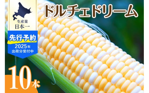 【先行予約】【2025年産】北海道十勝芽室町 とうもろこし バイカラー ドルチェドリーム 10本 me002-024c-25 1615715 - 北海道芽室町